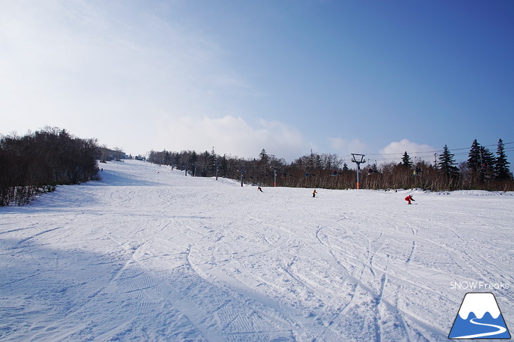 札幌国際スキー場 初滑り 華やかなシーズン到来！